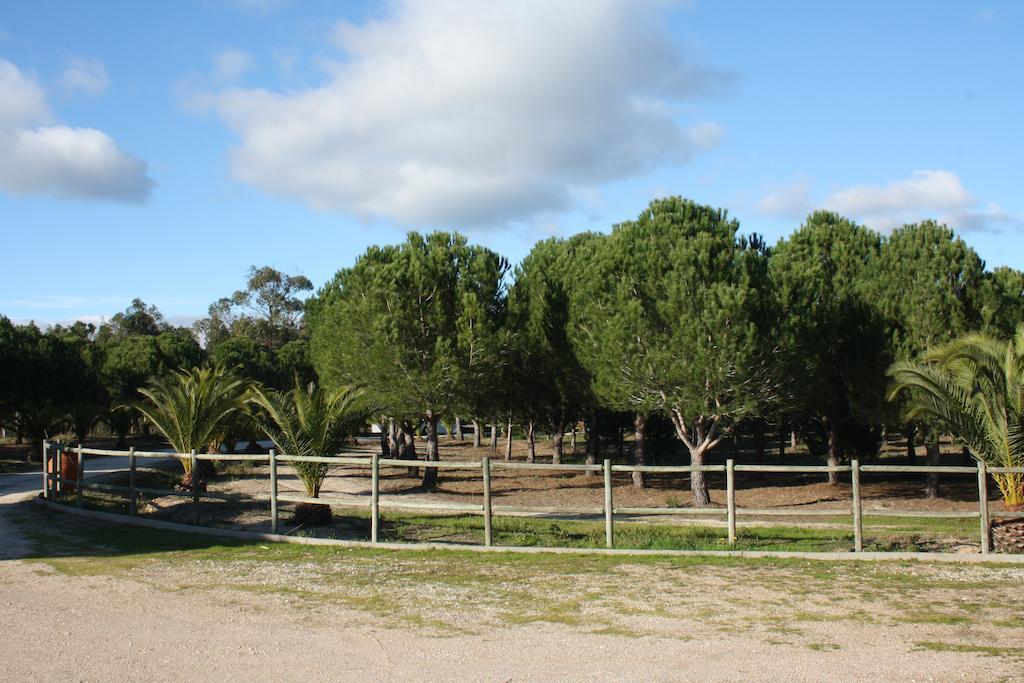 Monte Macario Alojamento Local Coruche Exterior photo